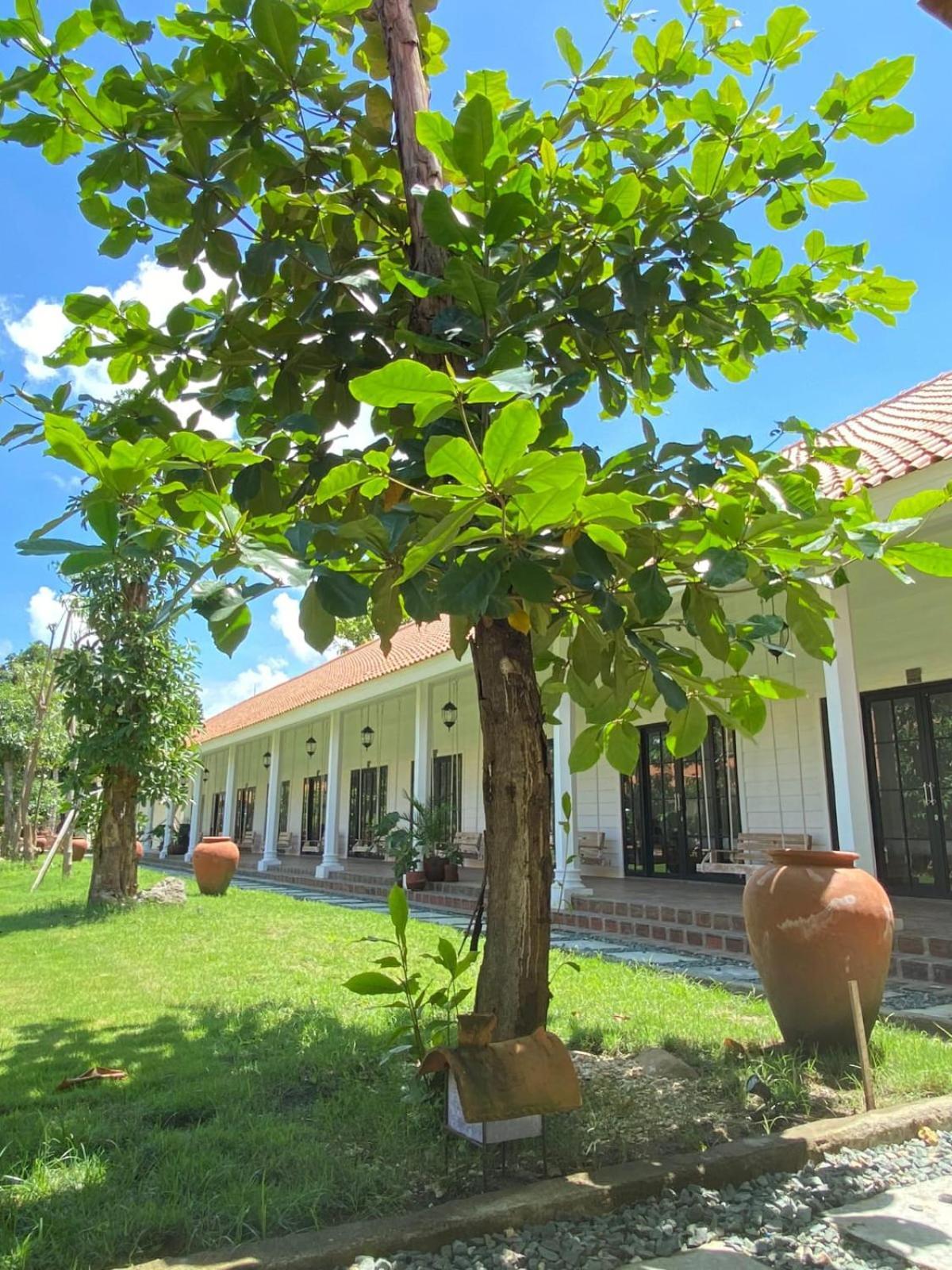 Maluk Pasir Putih Resort & Resto מראה חיצוני תמונה